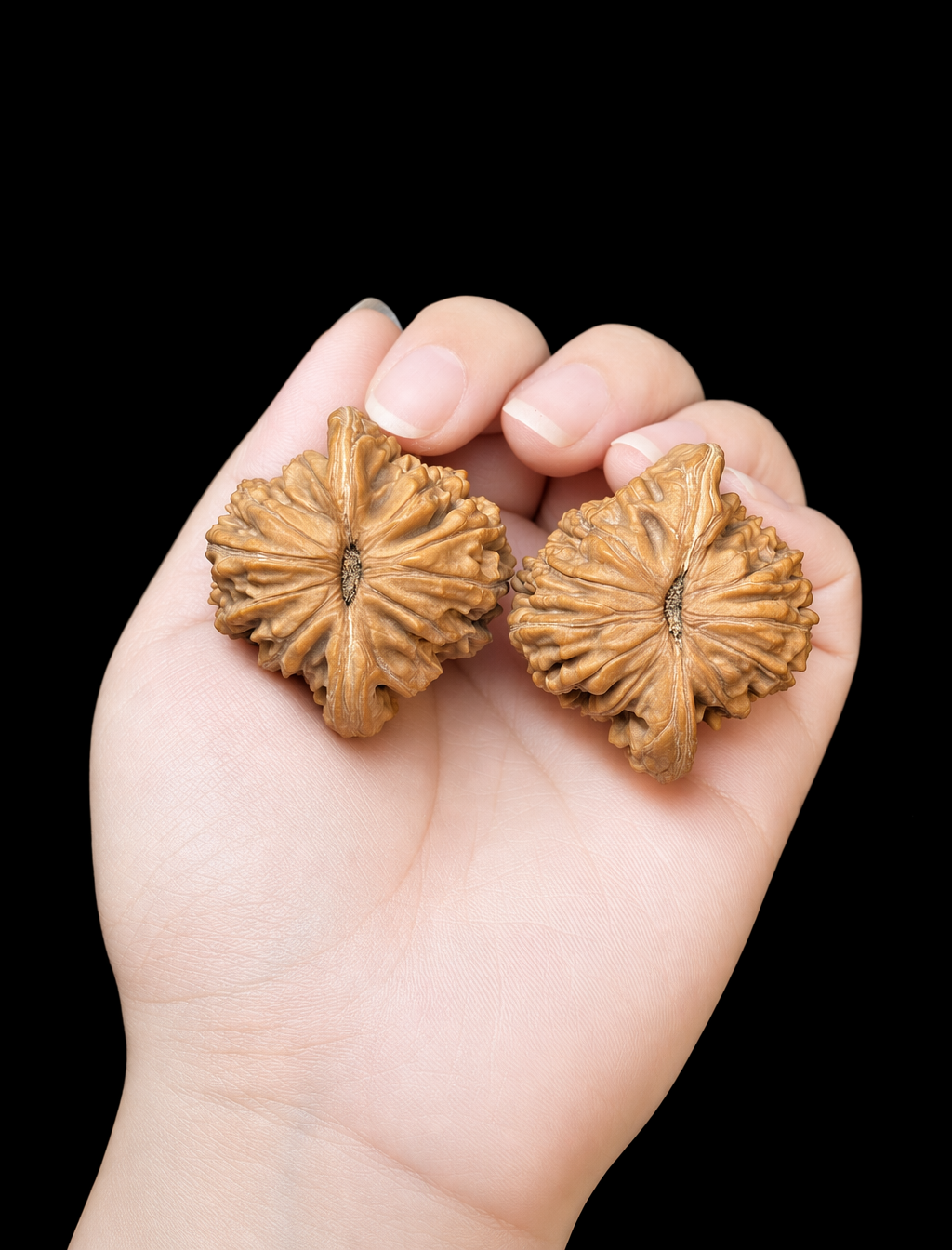 Cloud Mist Sizuolou - Wenwan Walnuts
